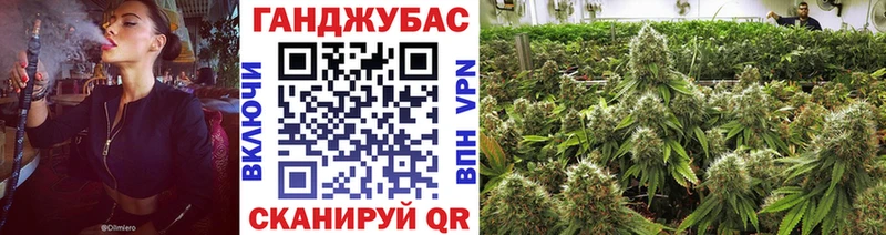 Где купить наркотики Сасово Амфетамин КОКАИН ГАШ МЕФ Псилоцибиновые грибы Канабис