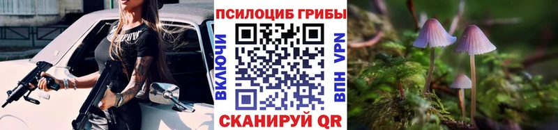 Псилоцибиновые грибы прущие грибы  купить  сайты  OMG онион  Сасово 